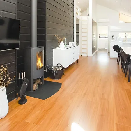 Haderslev With A Fireplace 08 *